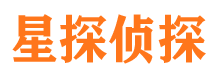 宜阳找人公司